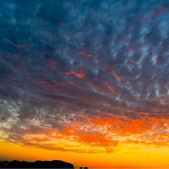 Meet your Posher, Melissa - Picture 1 of 1